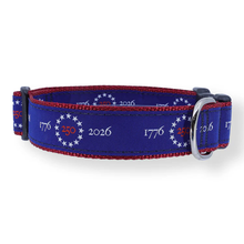 America 250 - 3/4 & 1.25 inch Dog Collar, Harness