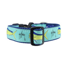 Dog Collar - Bull Dolphin -  3/4 & 1 1/4