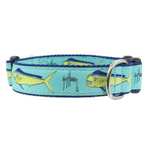 Dog Collar - Bull Dolphin -  3/4 & 1 1/4