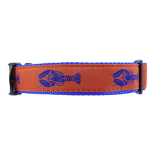 Dog Collar - Blue on Orange Lobster -  3/4 & 1 1/4