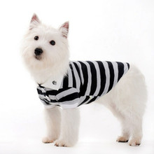 PP Striped Polo Dog Shirt - Gray
