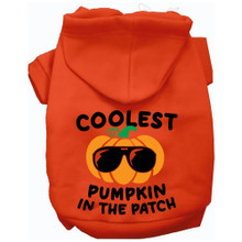 Coolest Pumpkin Screen Print Dog Hoodie - More Colors