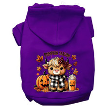 Cuties Pumpkin Season Dog Hoodie - More Colors