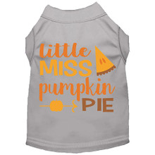 Little Miss Pumpkin Dog Shirt - More Colors