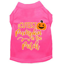 Cutest Pumpkin In The Patch Dog Shirt - More Colors