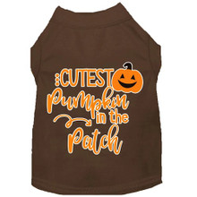 Cutest Pumpkin In The Patch Dog Shirt - More Colors