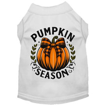 Pumpkin Season Dog Shirt - More Colors