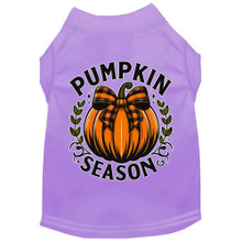 Pumpkin Season Dog Shirt - More Colors
