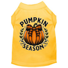 Pumpkin Season Dog Shirt - More Colors