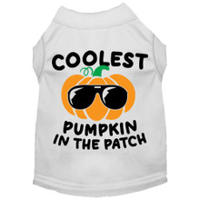 Coolest Pumpkin Dog Shirt - More Colors