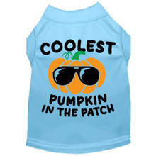 Coolest Pumpkin Dog Shirt - More Colors
