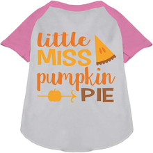 Little Miss Pumpkin Pie Ragland Dog Shirt - More Colors