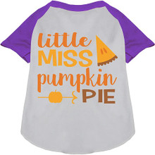 Little Miss Pumpkin Pie Ragland Dog Shirt - More Colors
