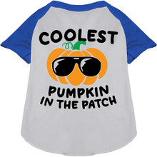 Coolest Pumpkin Ragland Dog Shirt - More Colors