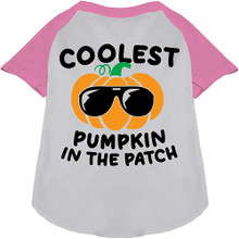 Coolest Pumpkin Ragland Dog Shirt - More Colors