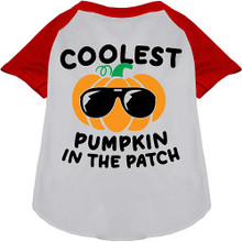Coolest Pumpkin Ragland Dog Shirt - More Colors