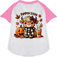 Cuties Pumpkin Season Ragland Dog Shirt - More Colors