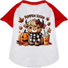 Cuties Pumpkin Season Ragland Dog Shirt - More Colors