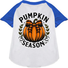 Pumpkin Season Ragland Dog Shirt - More Colors