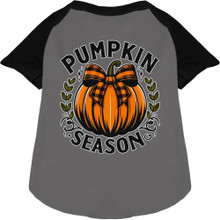 Pumpkin Season Ragland Dog Shirt - More Colors