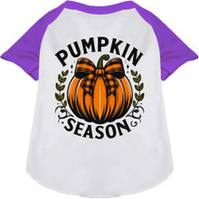 Pumpkin Season Ragland Dog Shirt - More Colors