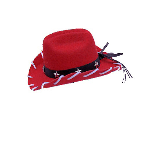 Dog Cowboy Hats PupRwear GW Little