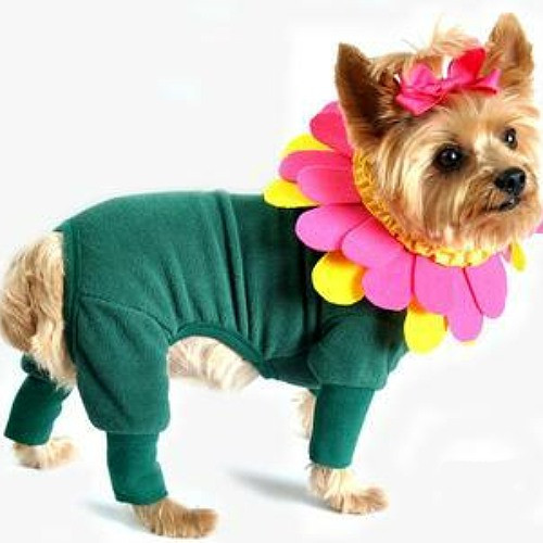 Honey Bee Dog Costume Anit Pet at PupRwear