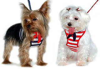 PINEAPPLE PINK EASYGO DOG HARNESS main image 1