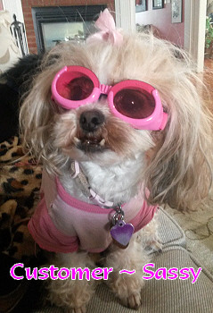 Shiny Pink ILS Dog Sunglasses