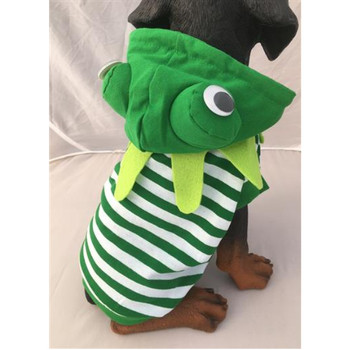 Costume - Frog