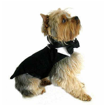 Dog Tuxedo Black with Tails, Top Hat & Bow Tie