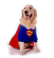 Costume - Super-Dog