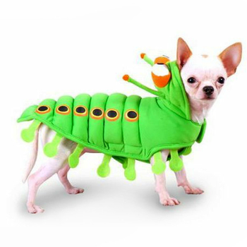 Caterpillar Pet Dog Costume