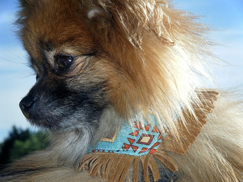 Southwest Diamond Pattern Bandana