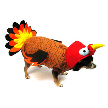 Pet Dog Costume - Turkey