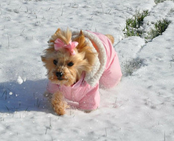 Ruffin It Pink Dog Snow Suit