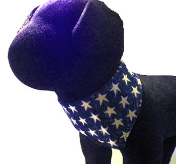 Bandana - Patriotic Stars