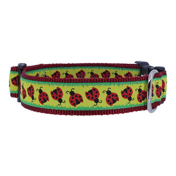 Dog Collar - Doodlebug - 3/4, 1-1/4