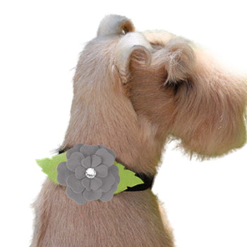 Collar Slider - Tinkie's Garden - Susan Lanci