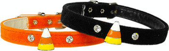 Halloween Dog Collar - Candy Corn