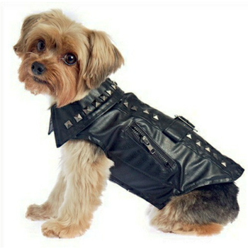 Studded Biker Motorcycle Dog Jacket / Coat