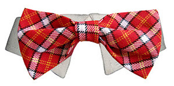 Dog Bow Tie - Red Checker