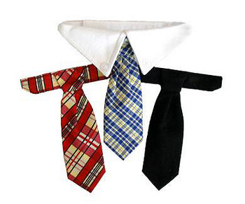 Basic Dog Neck Tie and Collar Set