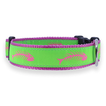 Dog Collar - Green & Pink Fishbones - 1/2, 3/4, 1 1/4