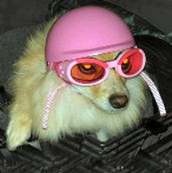 Dog Motorcycle Biker Helmet - Pink