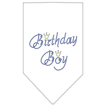 Dog Bandana - Birthday Boy Rhinestone