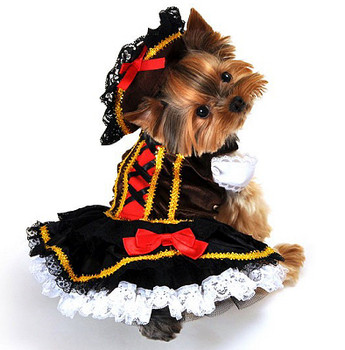 Swashbuckler Pirate Girl Dog Costume