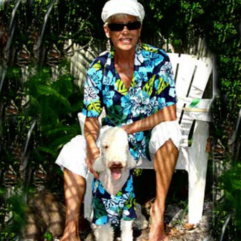 Cabana Womens Shirt - Blue Crush, Matching Dog Available