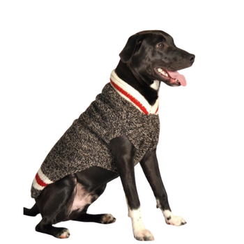 Boyfriend Dog Sweaters, Teacup to Big Dog Sizes