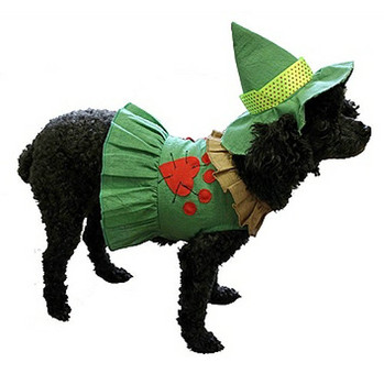 Scarecrow Dog Costume Wizard of Oz Collection